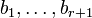 b_1, \dots, b_{r+1}